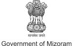 Government